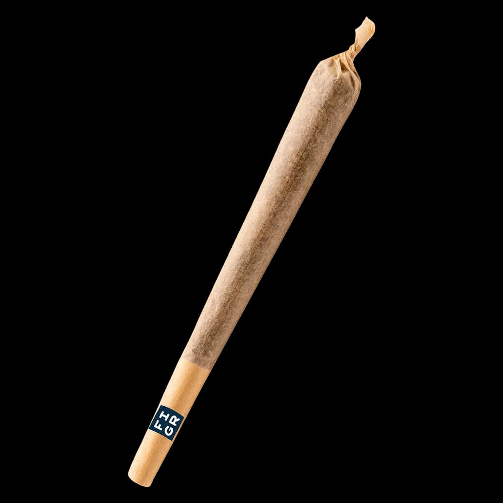 Pré-roulé Jungle Fumes de FIGR avec extrémité en papier torsadé et bande filtrante de marque sur fond blanc