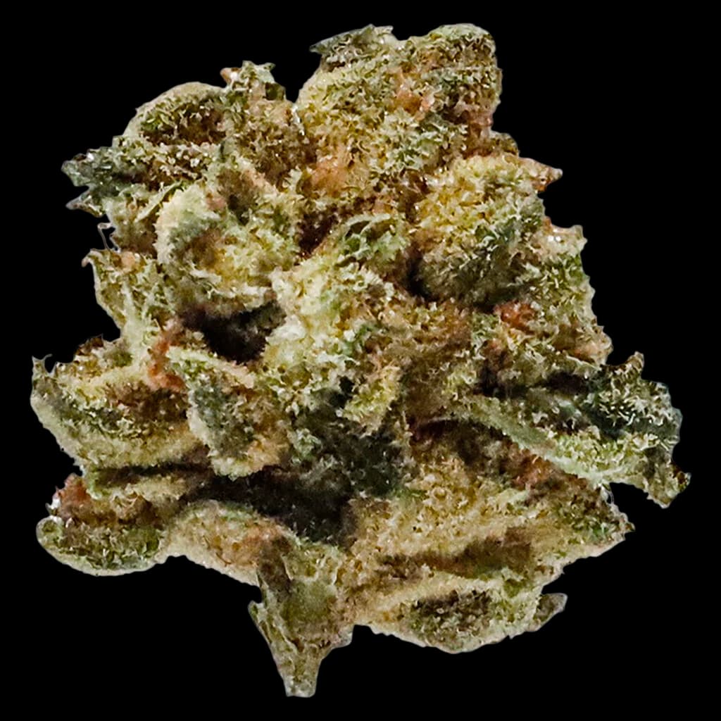 Potluck Pineapple Express dried flower cannabis buds with green and amber trichomes