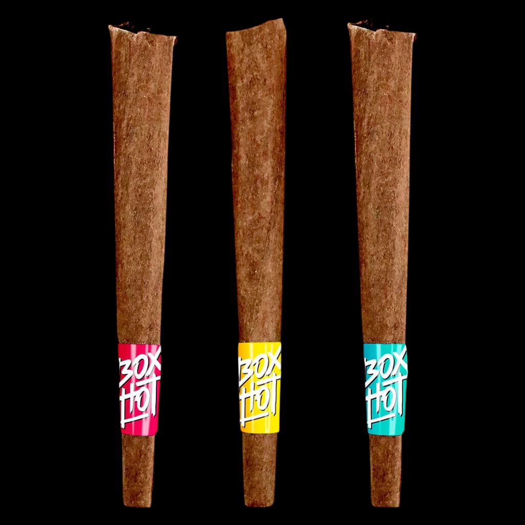 BOXHOT Fatties Vol. 2 three-pack infused blunts with pink, yellow, and turquoise bands