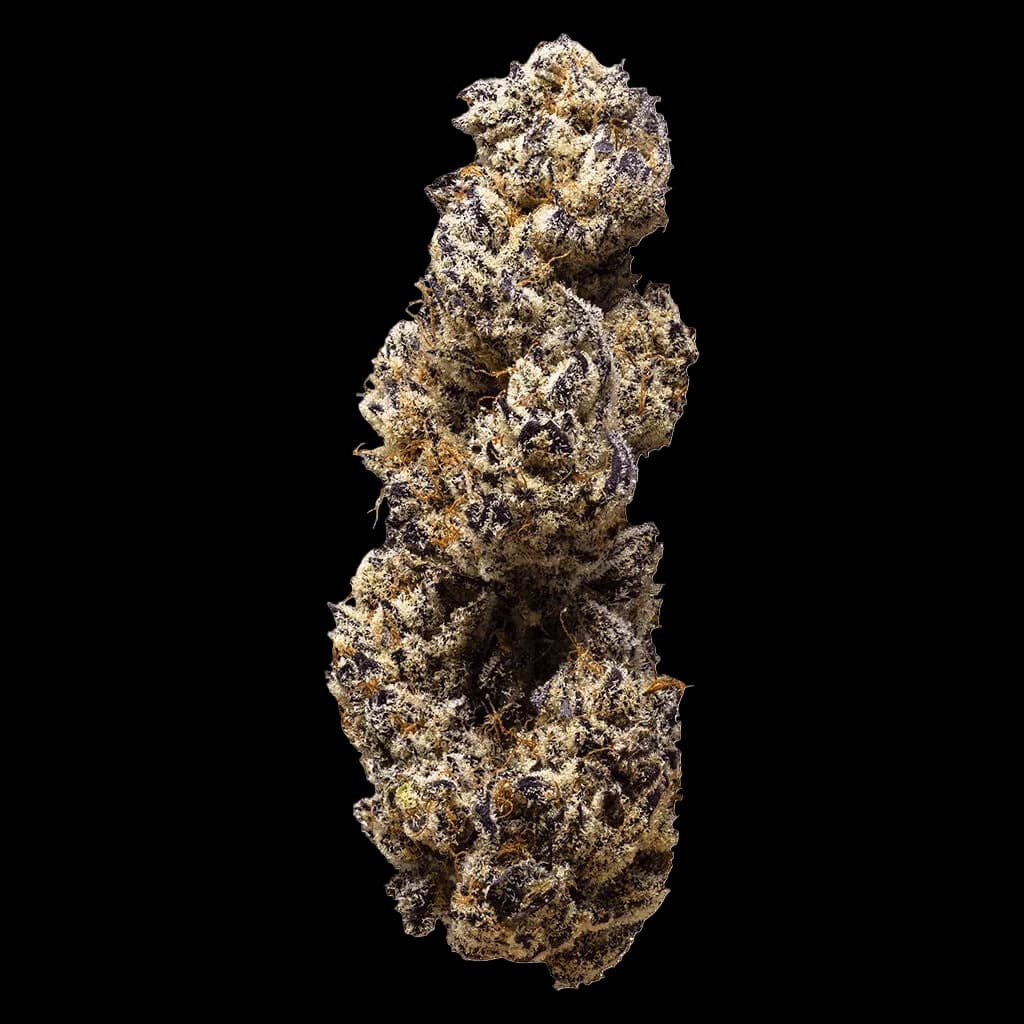 3rd Coast Genetics Breeders Choice Max Cuts cannabis dried flower with dense trichomes and gold-brown coloring