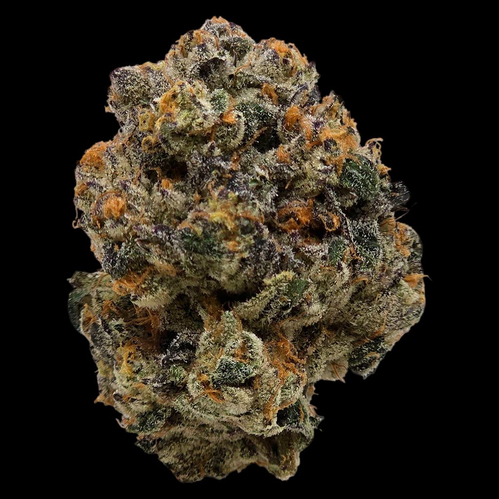 Coastal Cuts dried flower cannabis buds with dense trichomes, golden and green coloring against white background
