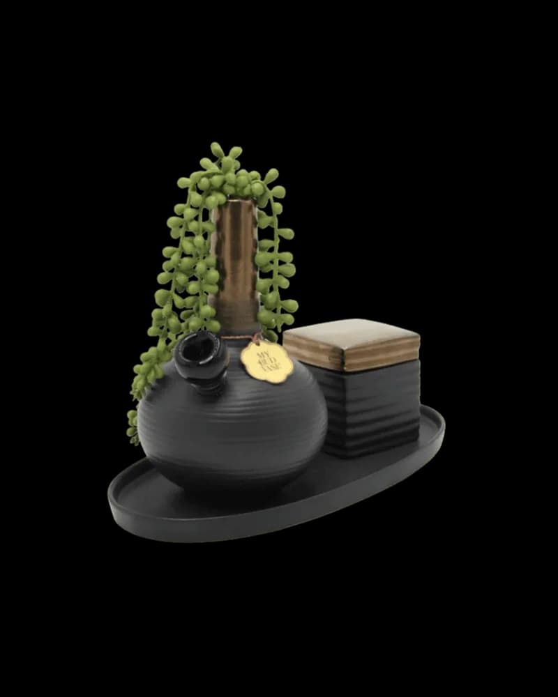 My Bud Vase DeAngelo black ceramic bong with trailing succulent plant and brass accents on display tray