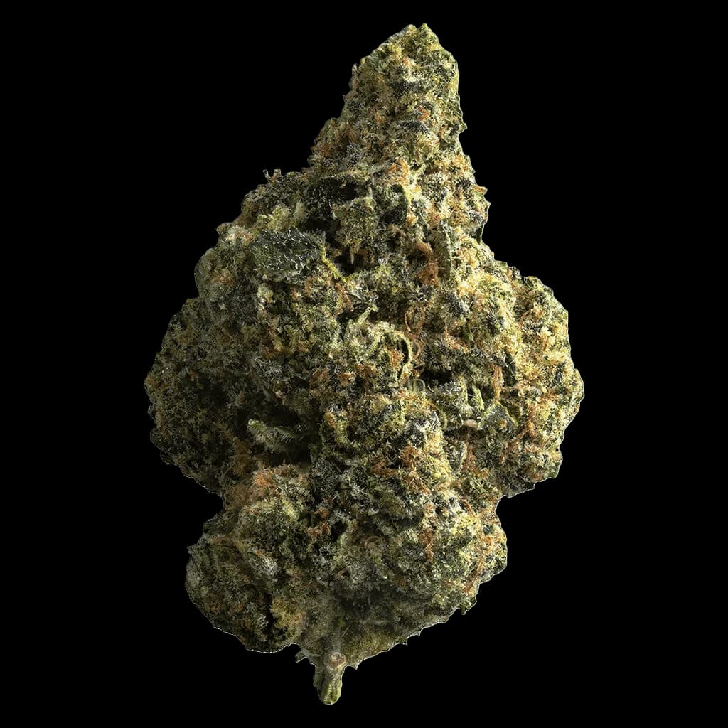 Bourgeon de cannabis en fleurs séchées The Republic Reserve 25 Plus avec des trichomes denses et une coloration verte