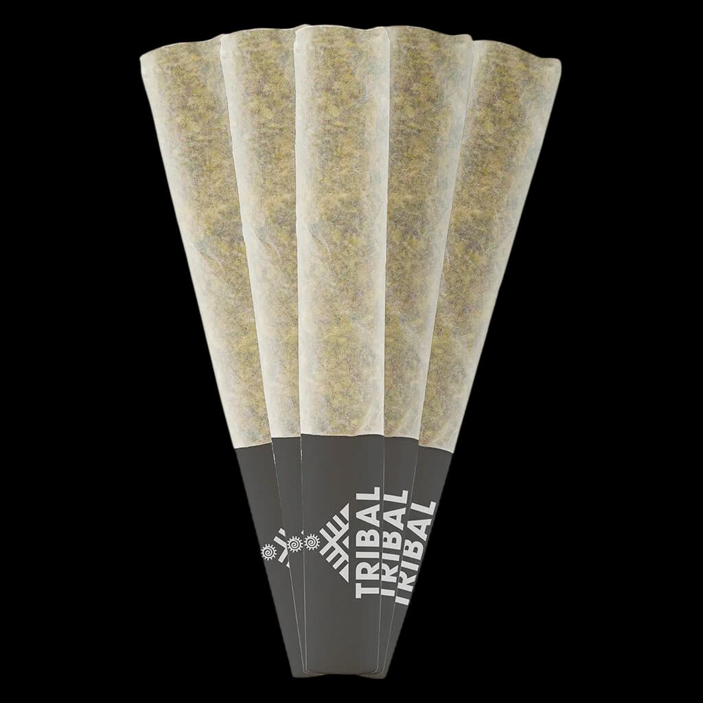 Tribal Porto Leche 5-pack pre-rolls with light green cannabis flower visible in papers, black branded bands at base