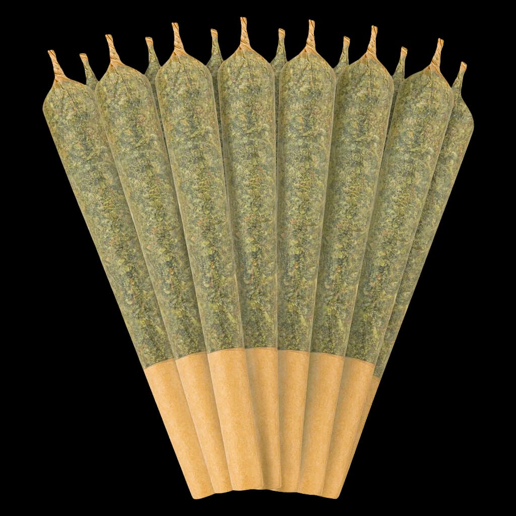Indica 30 Plus