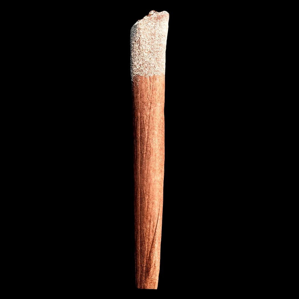 Fifty Woods Banana Triple Infused Blunt by DEBUNK, cannabis pre-roll with light ash coating on lit end