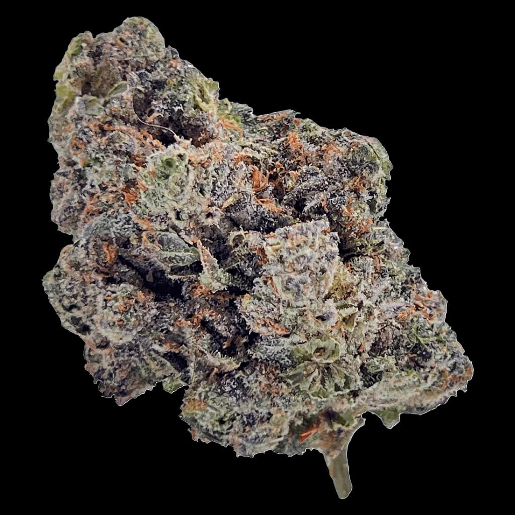 HighXotic Royal Dive #4 Goofiez cannabis dried flower with dense green and purple buds dusted with trichomes