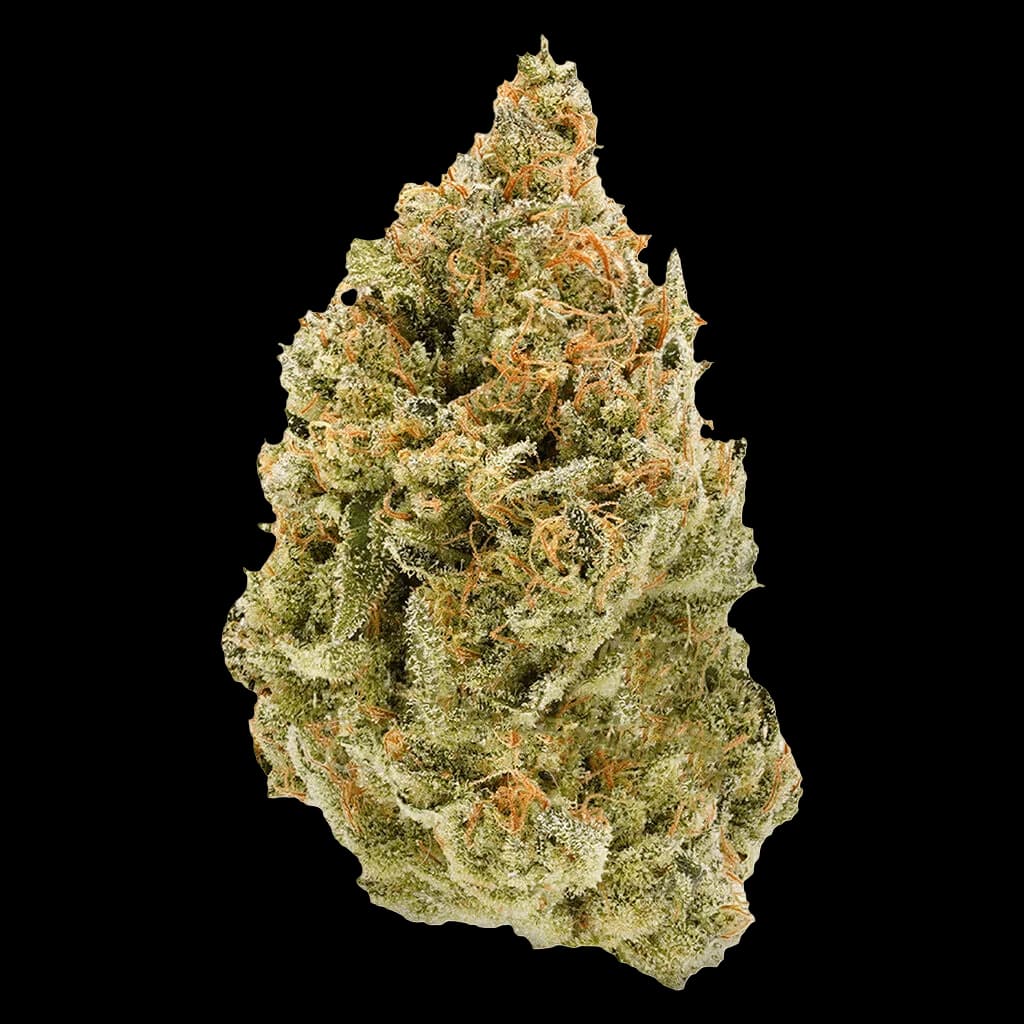 Simply Bare BC Organic Fruit Loopz cannabis dried flower bud with green and orange hues