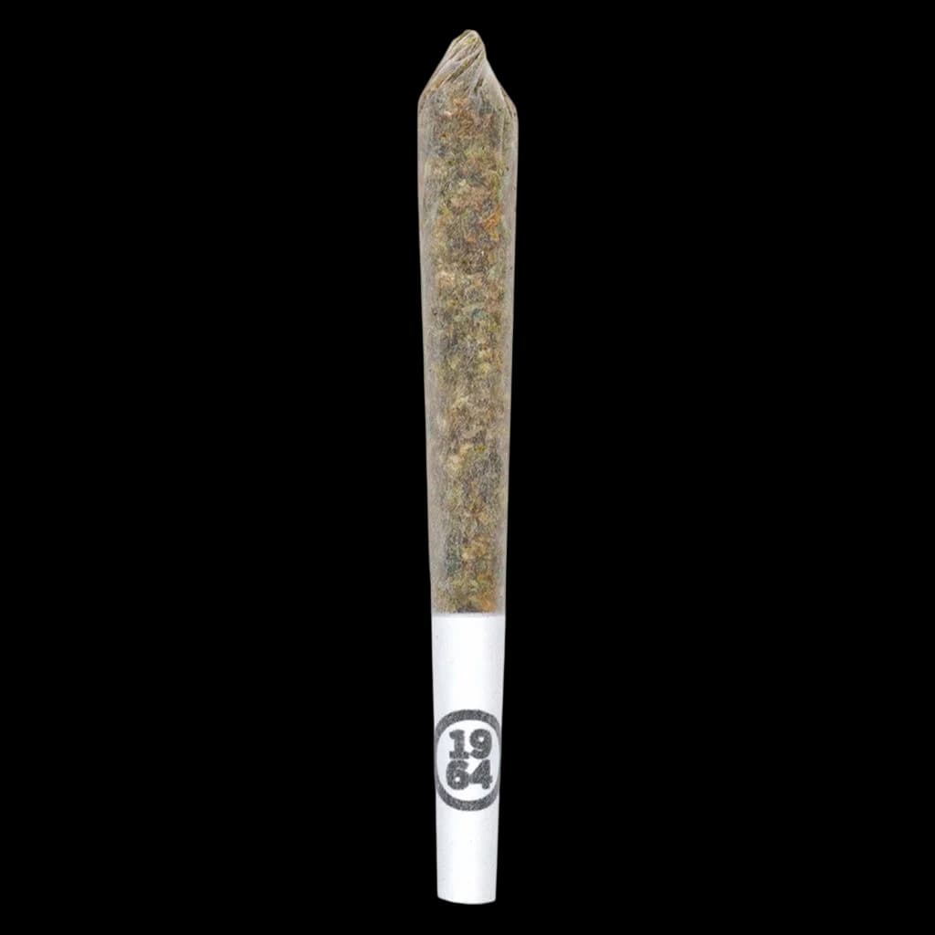 1964 Comatose pre-roll with white filter tip and branded band, cannabis pre-roll