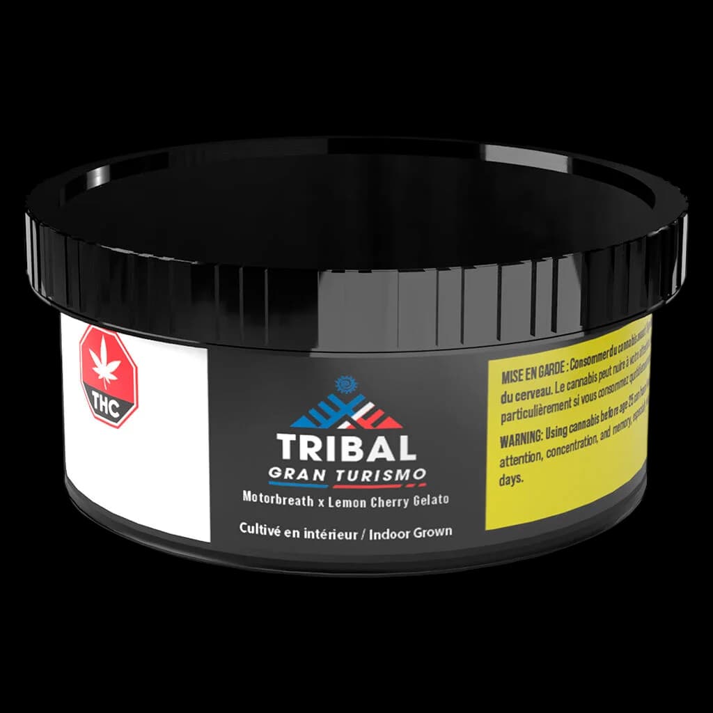 Fleur séchée de cannabis Tribal Gran Turismo Motorbreath x Lemon Cherry Gelato en pot noir avec couvercle à vis noir