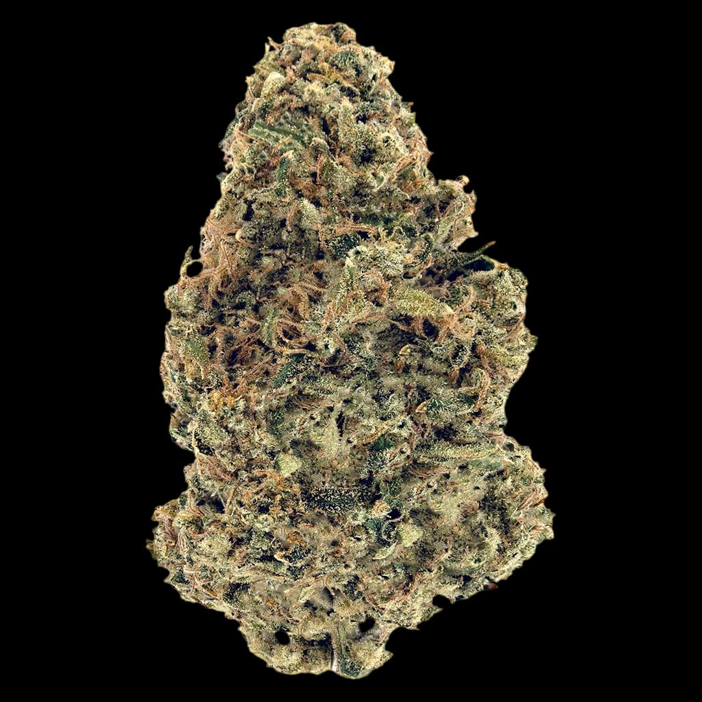 Woody Nelson Warehouse Premium Smalls cannabis dried flower bud with dense trichome coverage