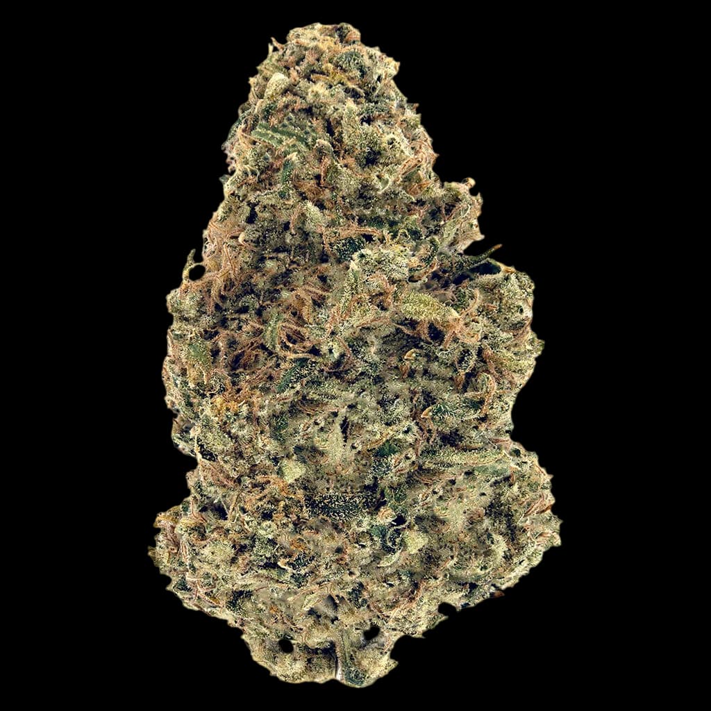 Woody Nelson Warehouse Premium Smalls cannabis dried flower bud with dense trichomes and green-brown coloring