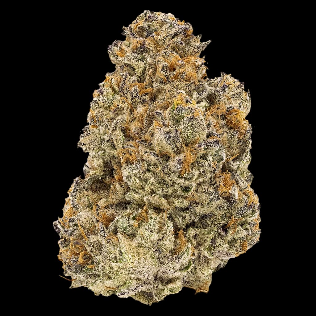 FIGR Chatty Kathy dried flower cannabis bud with dense trichome coverage and visible stem