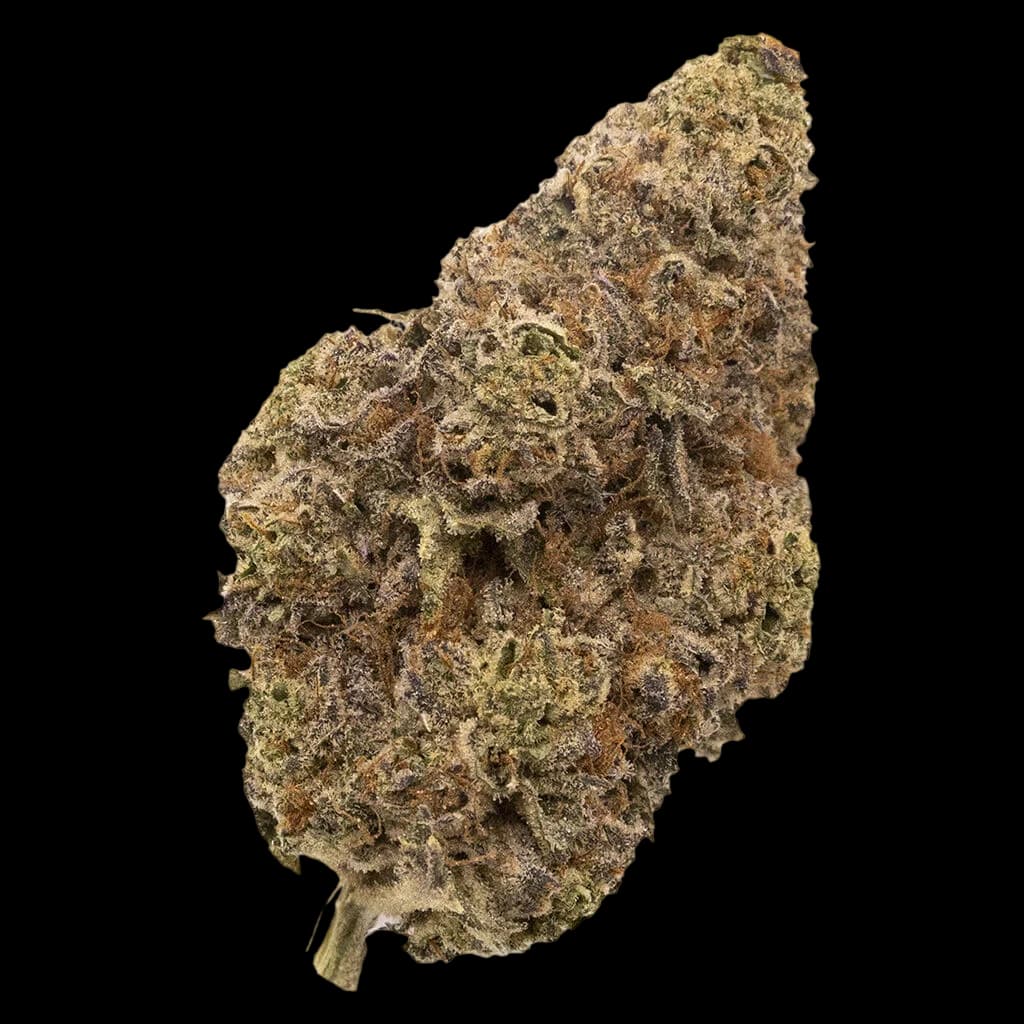 FIGR Chatty Kathy dried flower cannabis bud with dense trichomes and brown-green coloring