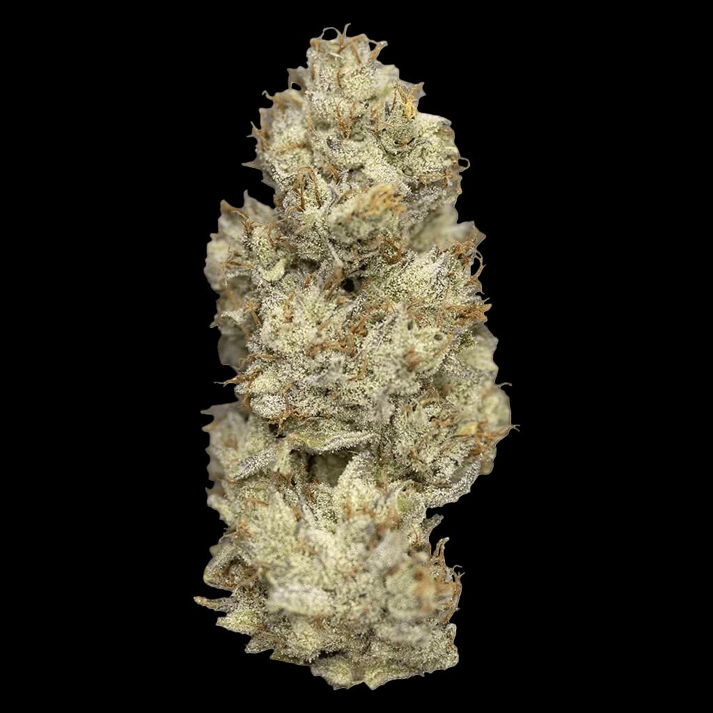Nugz Wagyu Delight cannabis dried flower bud with dense trichome coverage and light green coloring
