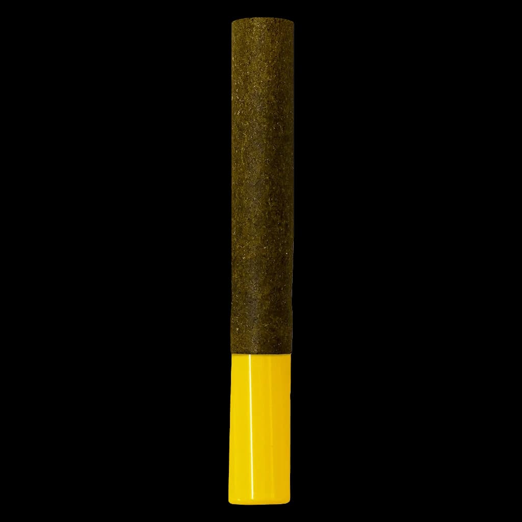 Pré-roulé Hash Wrap Sativa de Nugz Wrap avec enveloppe de cannabis vert olive et filtre jaune