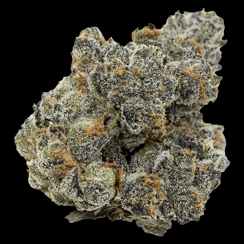 Pistol and Paris Pink Death cannabis dried flower with dense trichomes and grey-green coloration