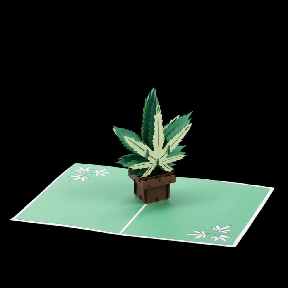 Cannabis leaf 3D pop-up greeting card with green and cream folded paper design and potted plant illustration