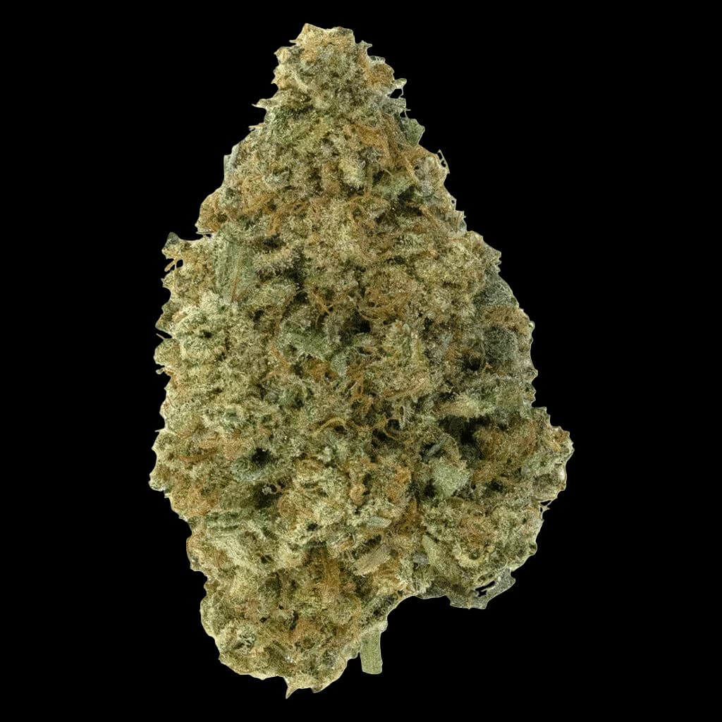 Simple Pleasures Watermelon Zkittlez dried flower cannabis bud with dense green and amber trichomes