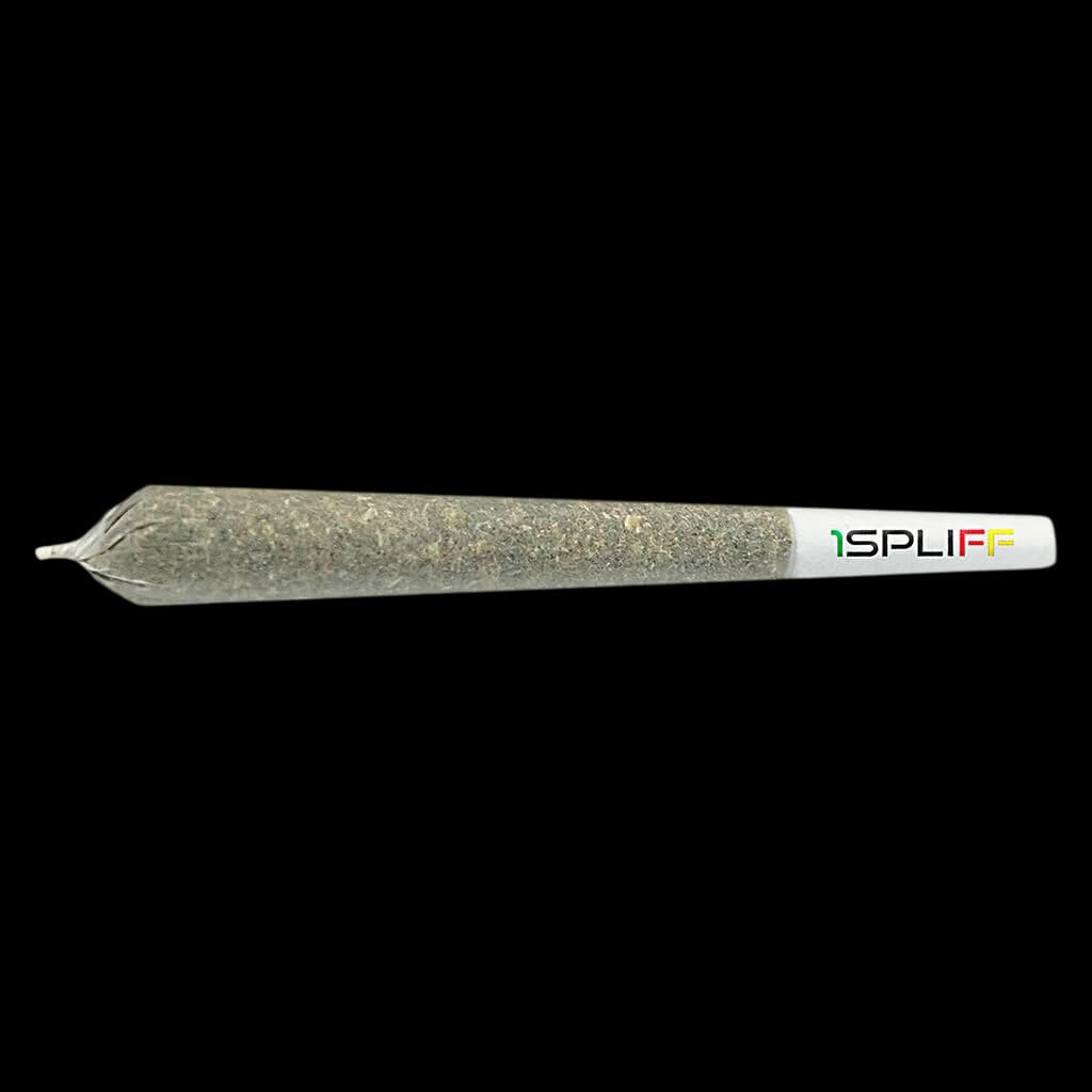 1Spliff Creativity pre-roll with white filter tip and cannabis flower visible