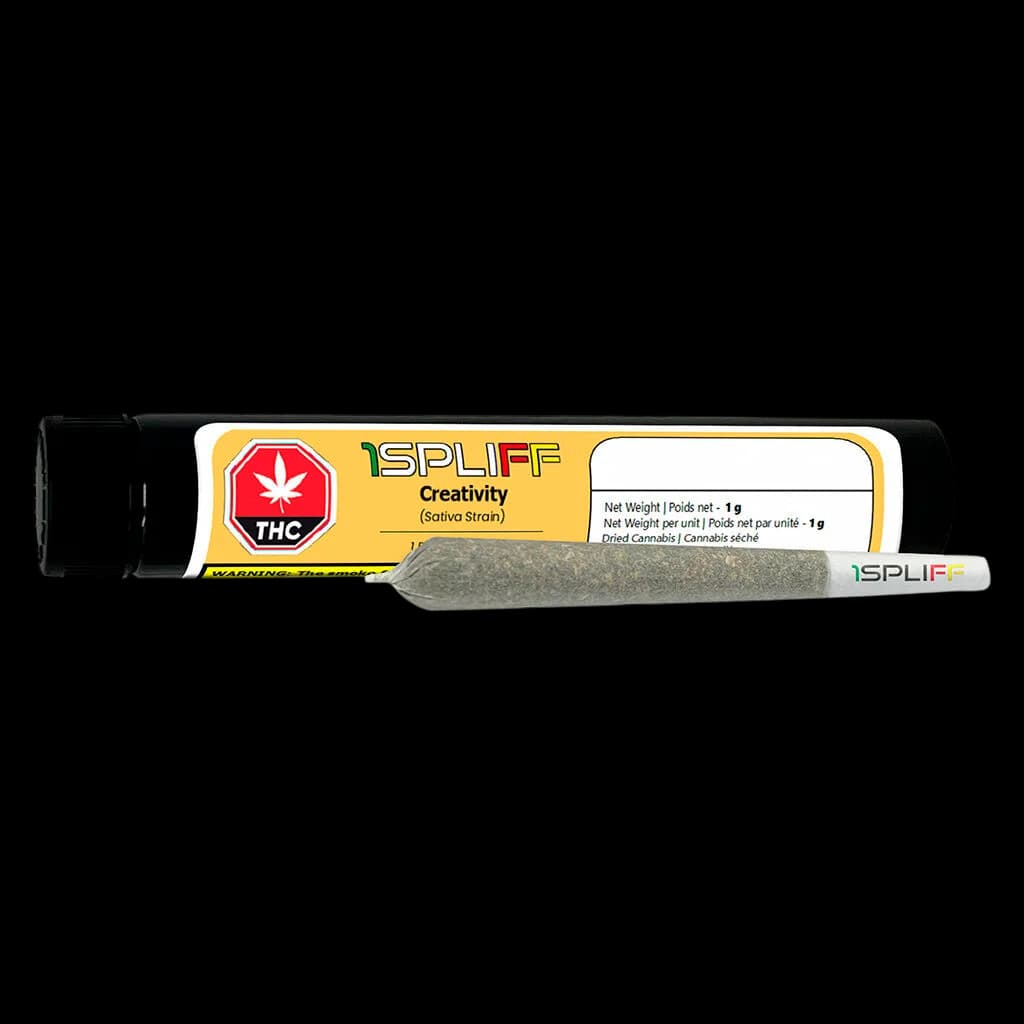 1Spliff Creativity pre-roll 1g sativa strain with packaging showing THC warning symbol