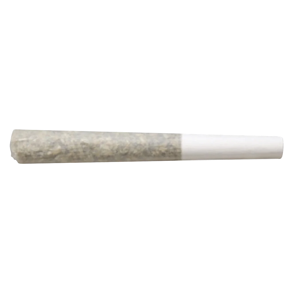 Pré-roulé infusé de bubble hash Titanimal de Truro avec fleur de cannabis et enrobage de haschich visibles