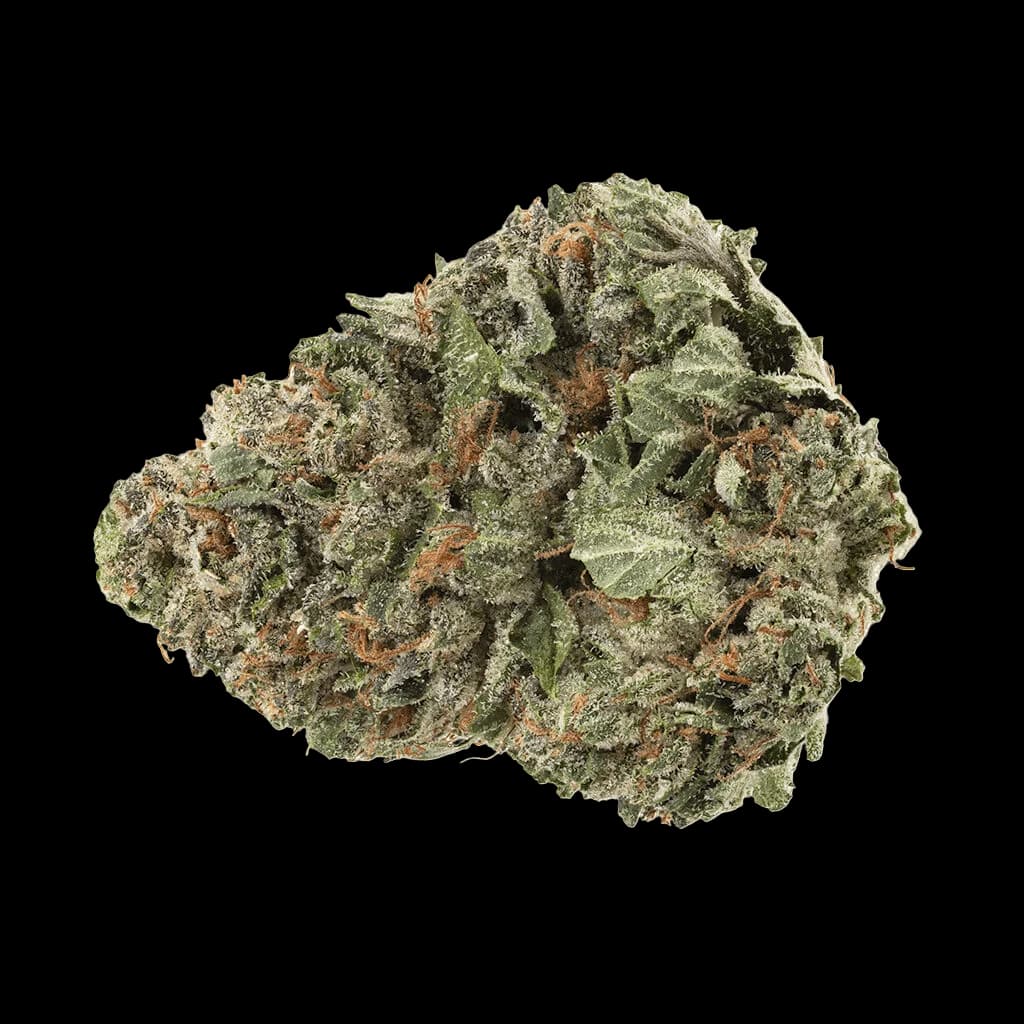 Fleurs séchées de cannabis hybride Bandwagon de Homestead avec des bourgeons verts denses et des pistils ambrés
