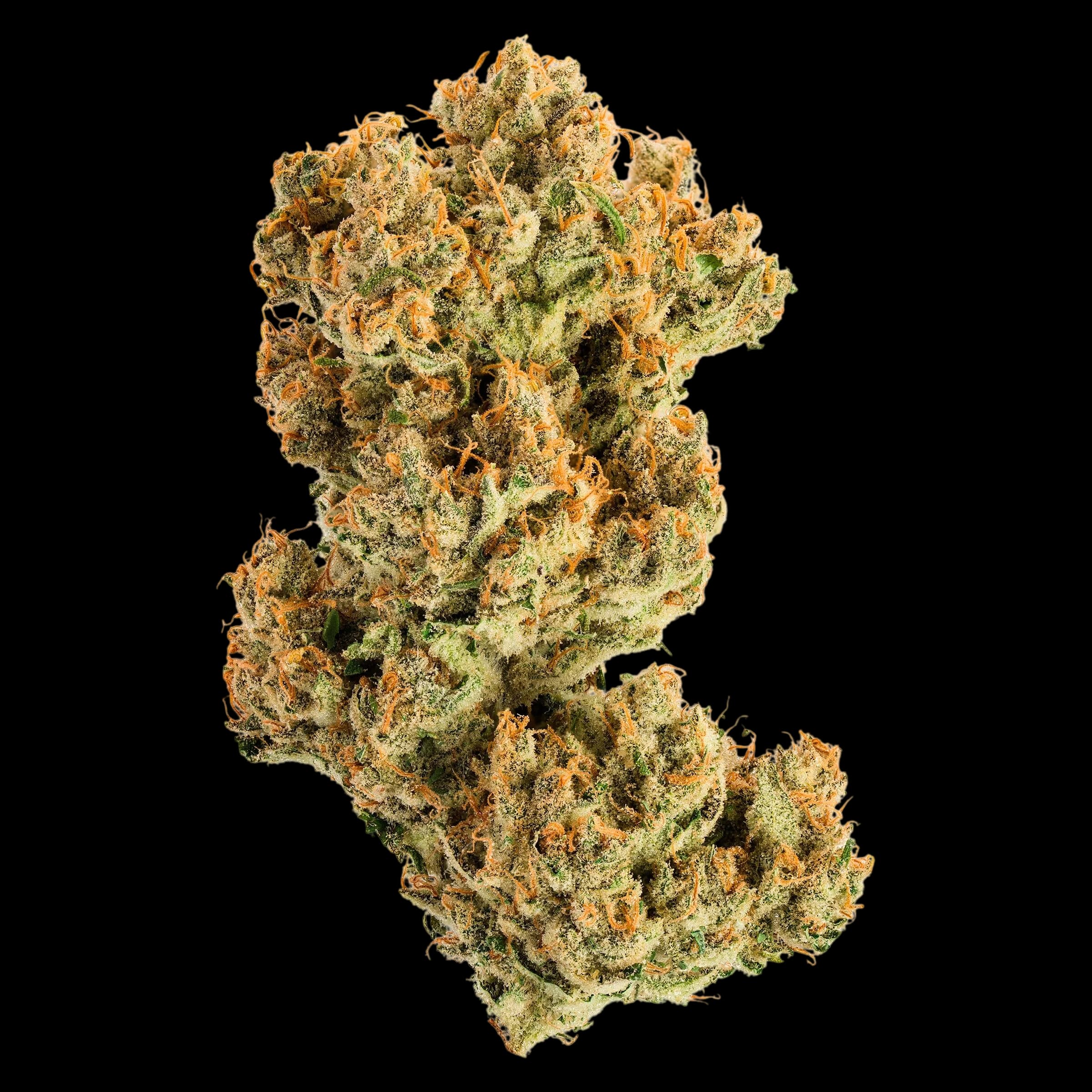 Jonny Chronic Acapulco Gold cannabis dried flower buds with golden-orange hairs and green-tinted trichomes