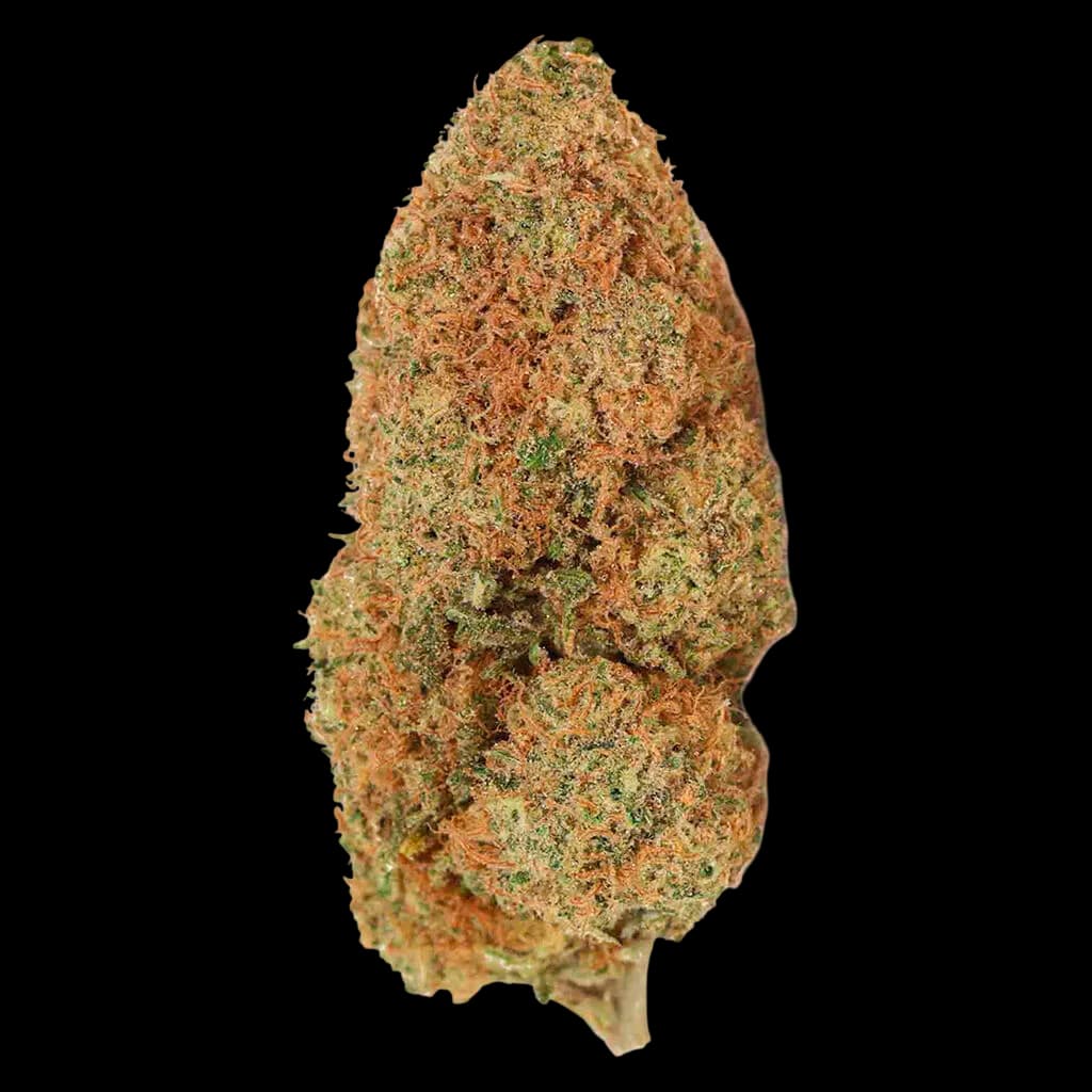 Simply Bare BC Organic Fruit Loopz dried flower cannabis bud with dense trichomes and orange-green coloration
