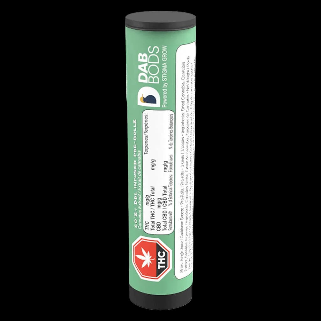 Dab Bods Dbl Infused Pre-Roll 60's+ tube with green packaging, tapered pre-rolls visible, THC symbol, and regulatory labeling