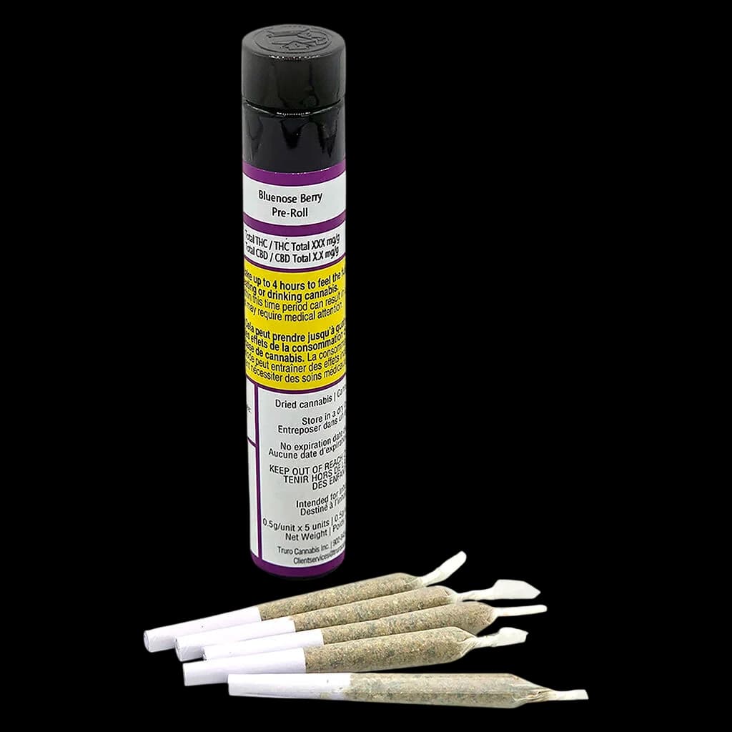 Paquet de pré-roulés Bluenose Berry avec 5 pré-roulés de cannabis affichés devant, présentant un emballage mauve et blanc avec les avertissements de Santé Canada