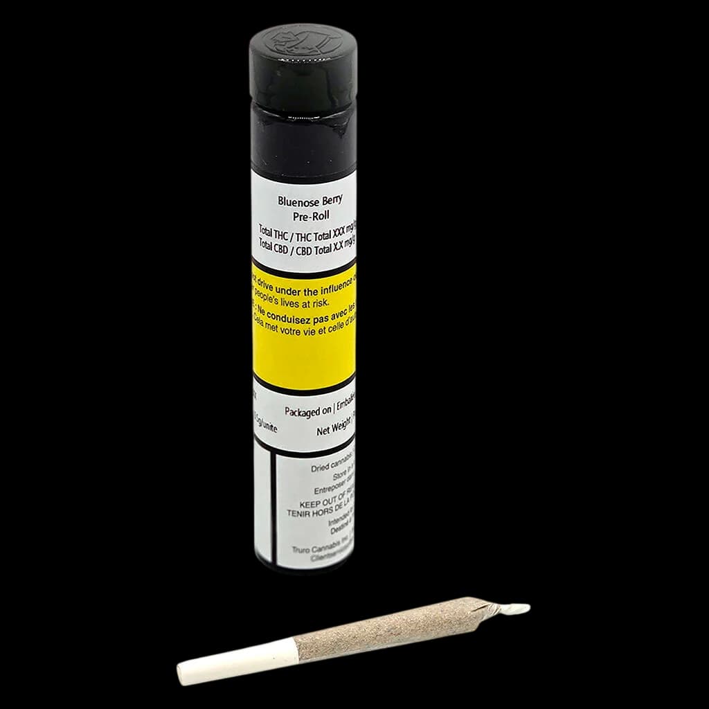 Bluenose Berry pre-roll with tube packaging featuring yellow Health Canada warning label and black cap