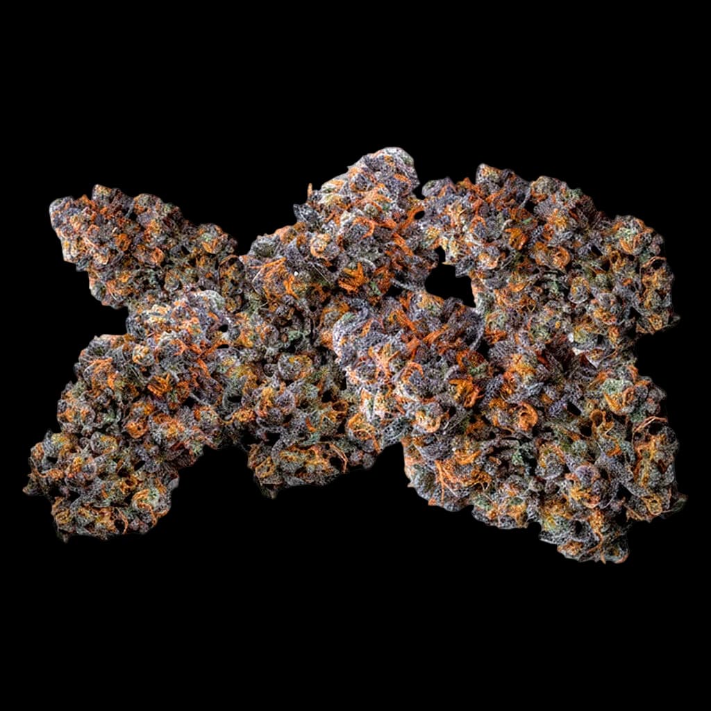 Your Highness Tropical Pressure cannabis dried flower buds with orange and purple trichomes
