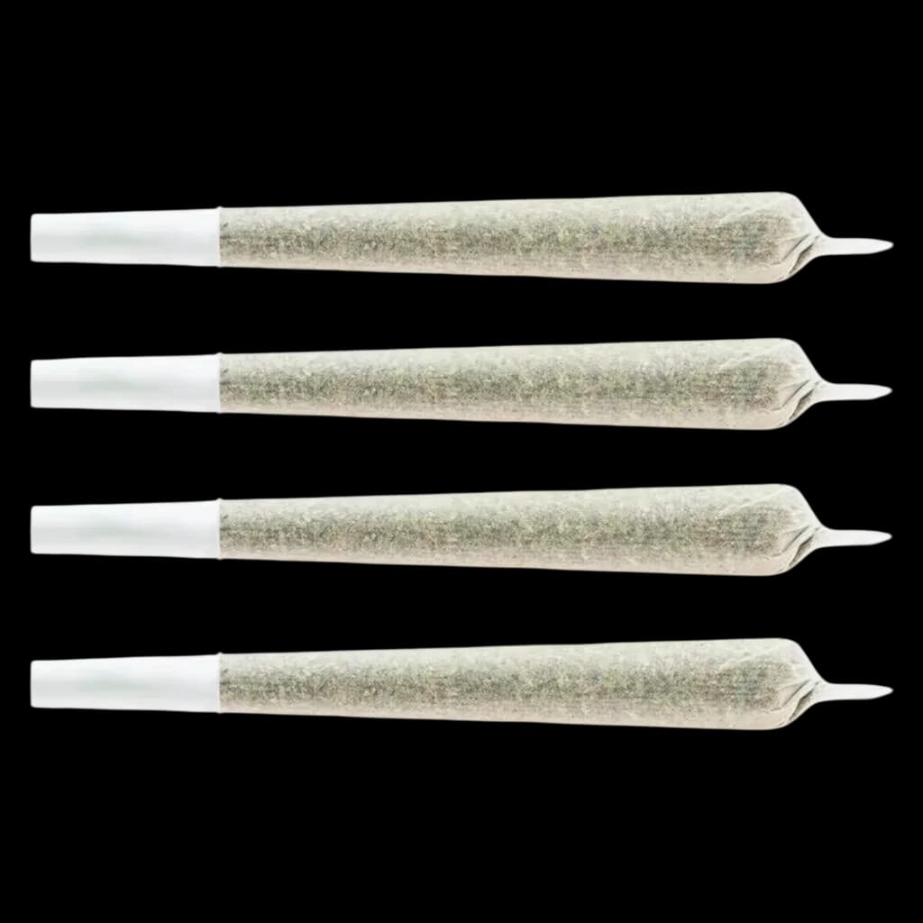Chub's Large Snack Pack Sativa pre-rolls, four-pack with white filter tips and cannabis flower visible