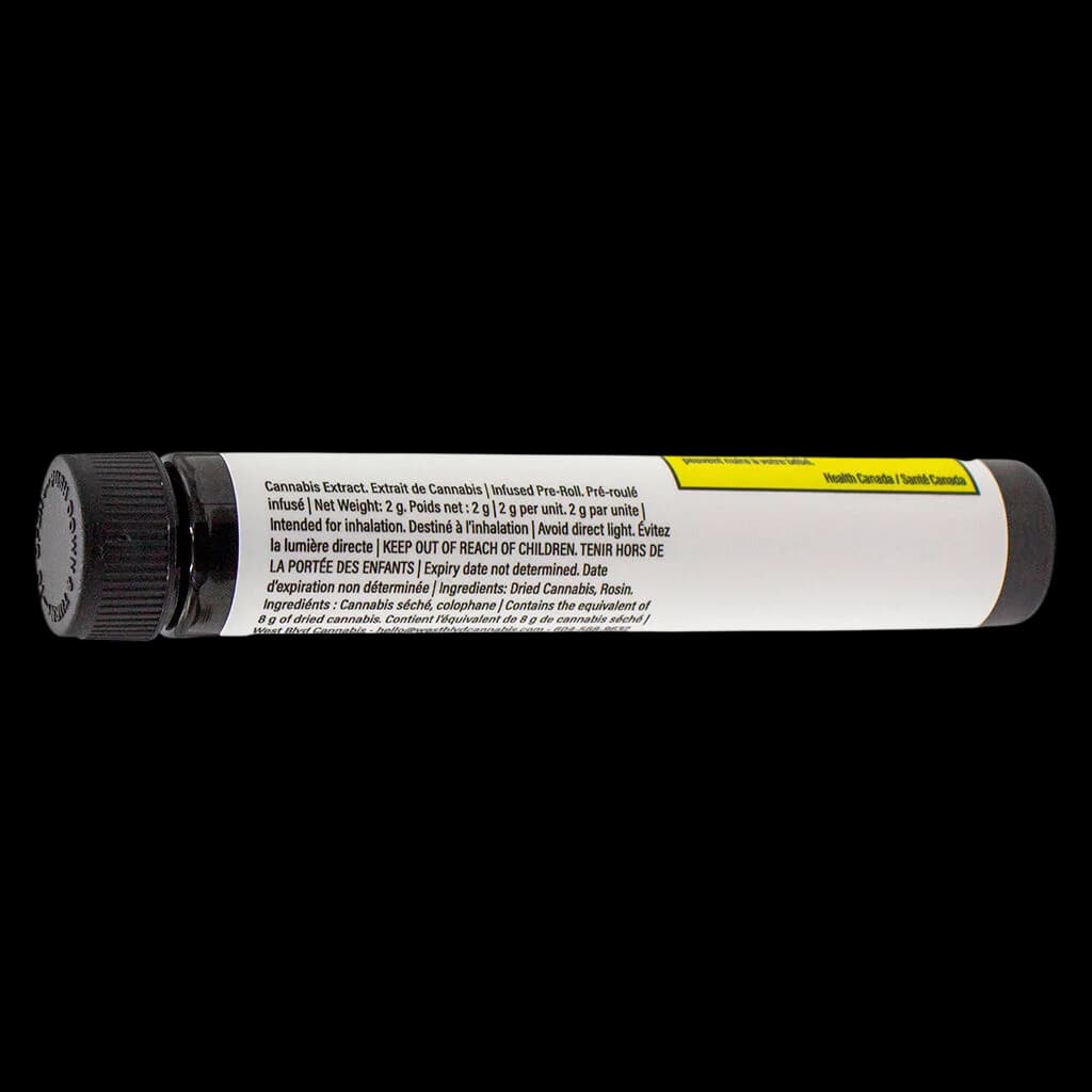 Pré-roulé infusé Hash Hole Jellee de 2 g avec capuchon noir et étiquette d'avertissement sanitaire jaune indiquant les informations sur les ingrédients et la teneur en cannabinoïdes