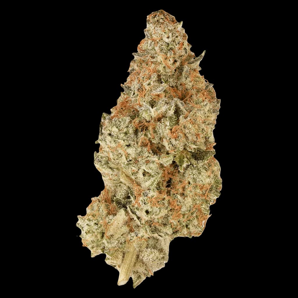 BC Organic Pink Drip cannabis dried flower bud with dense trichomes and cream-coloured with orange pistils