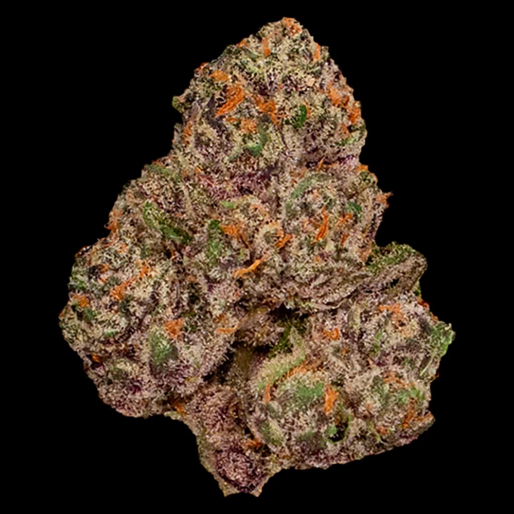 Simply Bare BC Organic Mandarin Zktz cannabis dried flower bud with orange and purple hues