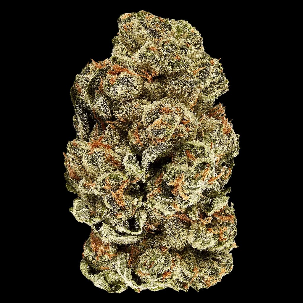 Bourgeons de cannabis à fleurs séchées Kush Cookies avec des trichomes verts et ambrés denses