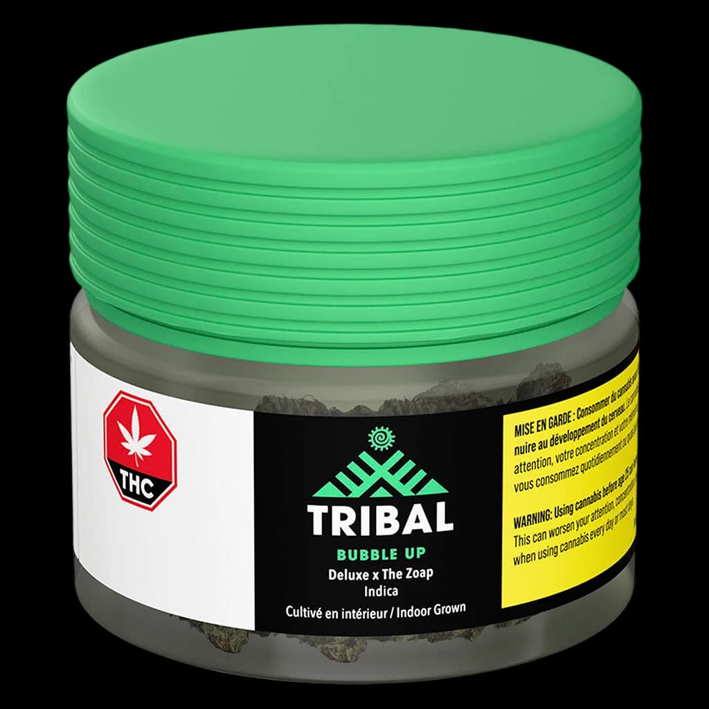 Tribal Bubble Up Deluxe x The Zoap Indica dried flower in green glass jar with black label showing THC symbol and Health Canada warning