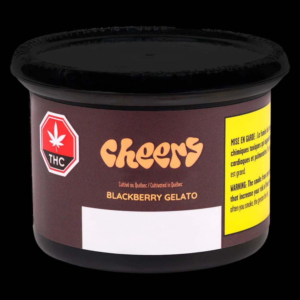 Cheers Blackberry Gelato cannabis dried flower in black jar with burgundy label and yellow Health Canada warning