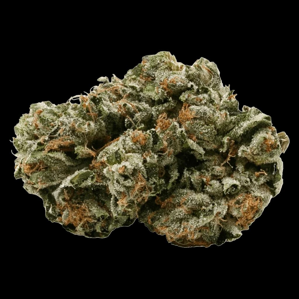 Bourgeons de fleurs séchées Pink Kush de Pure Sunfarms avec des trichomes denses et des pistils orange sur fond blanc
