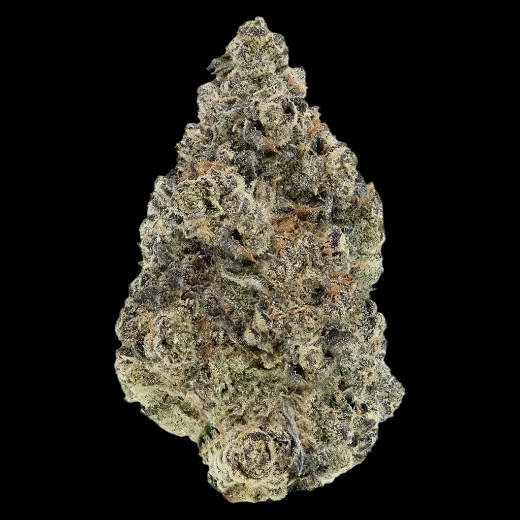 Woody Nelson Sunset Sherbet cannabis dried flower bud with dense trichomes and light green coloring