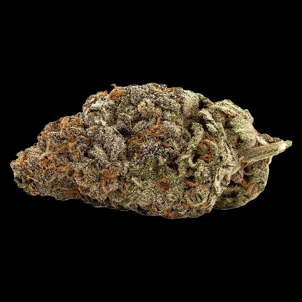 Fleur de cannabis entière artisanale White Walker de Qwest, fleur séchée aux trichomes denses et à la teinte vert olive