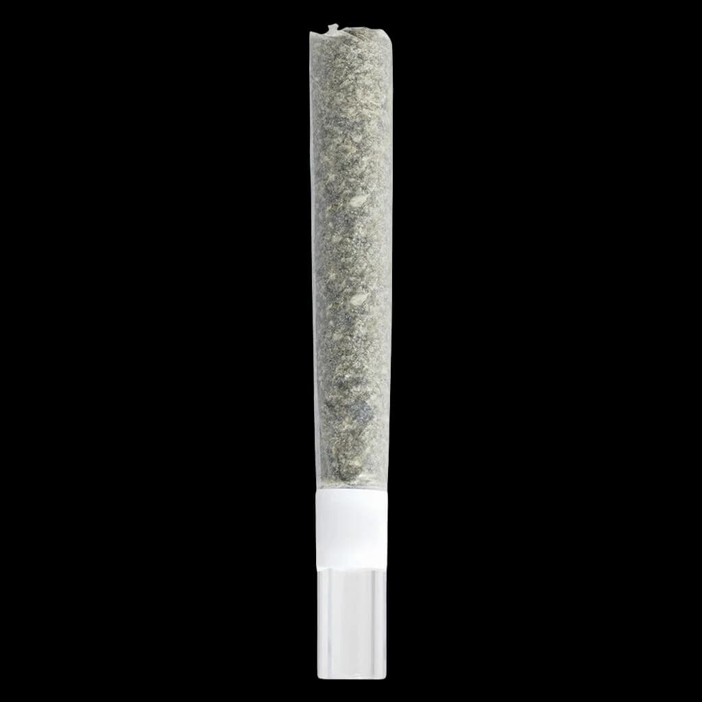 Be Humble Rosin Roll infused pre-roll with glass tip, cannabis pre-roll product