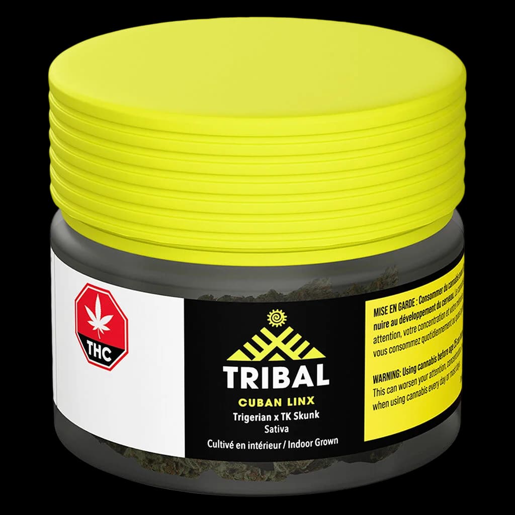 Bocal en verre jaune de fleurs séchées Cuban Linx de Tribal, avec étiquette noire indiquant la variété sativa Trigerian x TK Skunk
