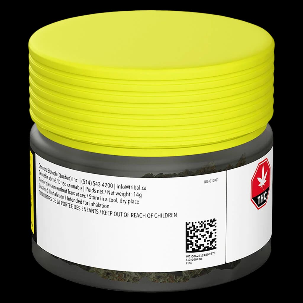 Contenant jaune de fleurs de cannabis séchées Tribal Cuban Linx, 14 g, avec couvercle à l'épreuve des enfants