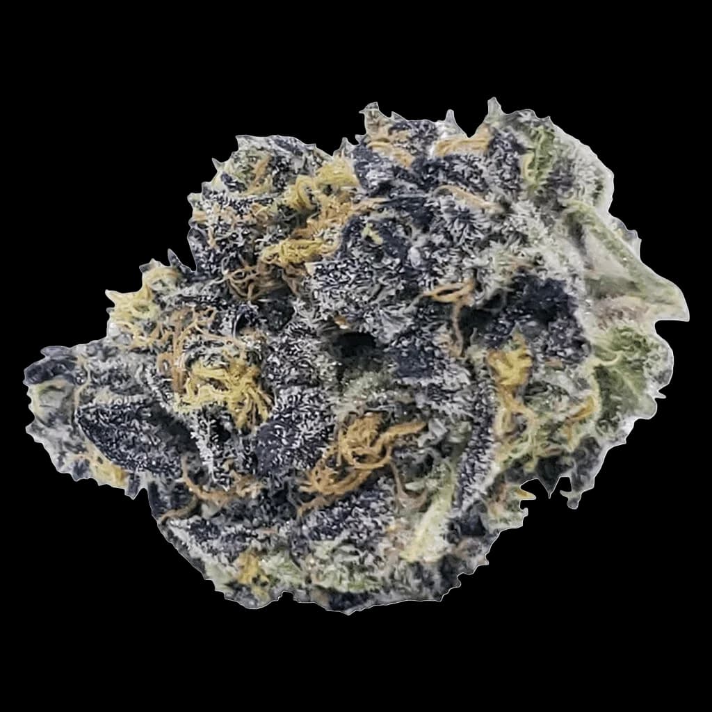 Fleurs séchées de cannabis Chubby Nuggies avec des bourgeons denses, violet foncé et vert forêt, couverts de trichomes cristallins