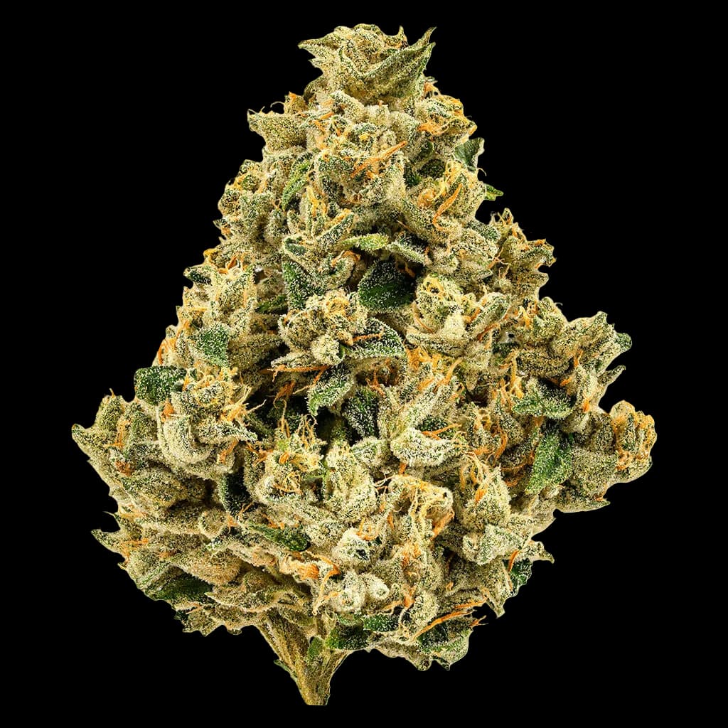 Strawberry Grail dried flower cannabis buds with dense trichomes, green and orange pistils