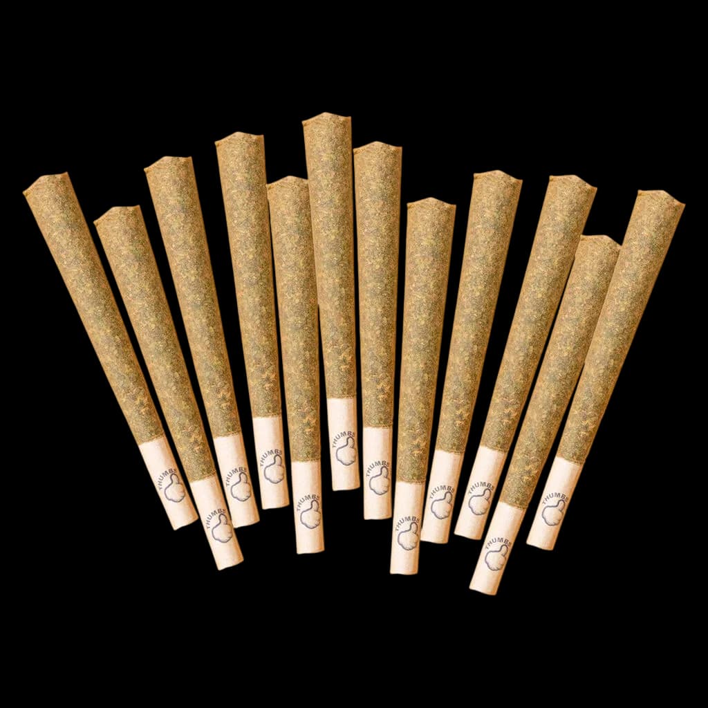 Twelve cannabis pre-rolls fanned out on a white background, beige paper tips printed with a THUMBS logo
