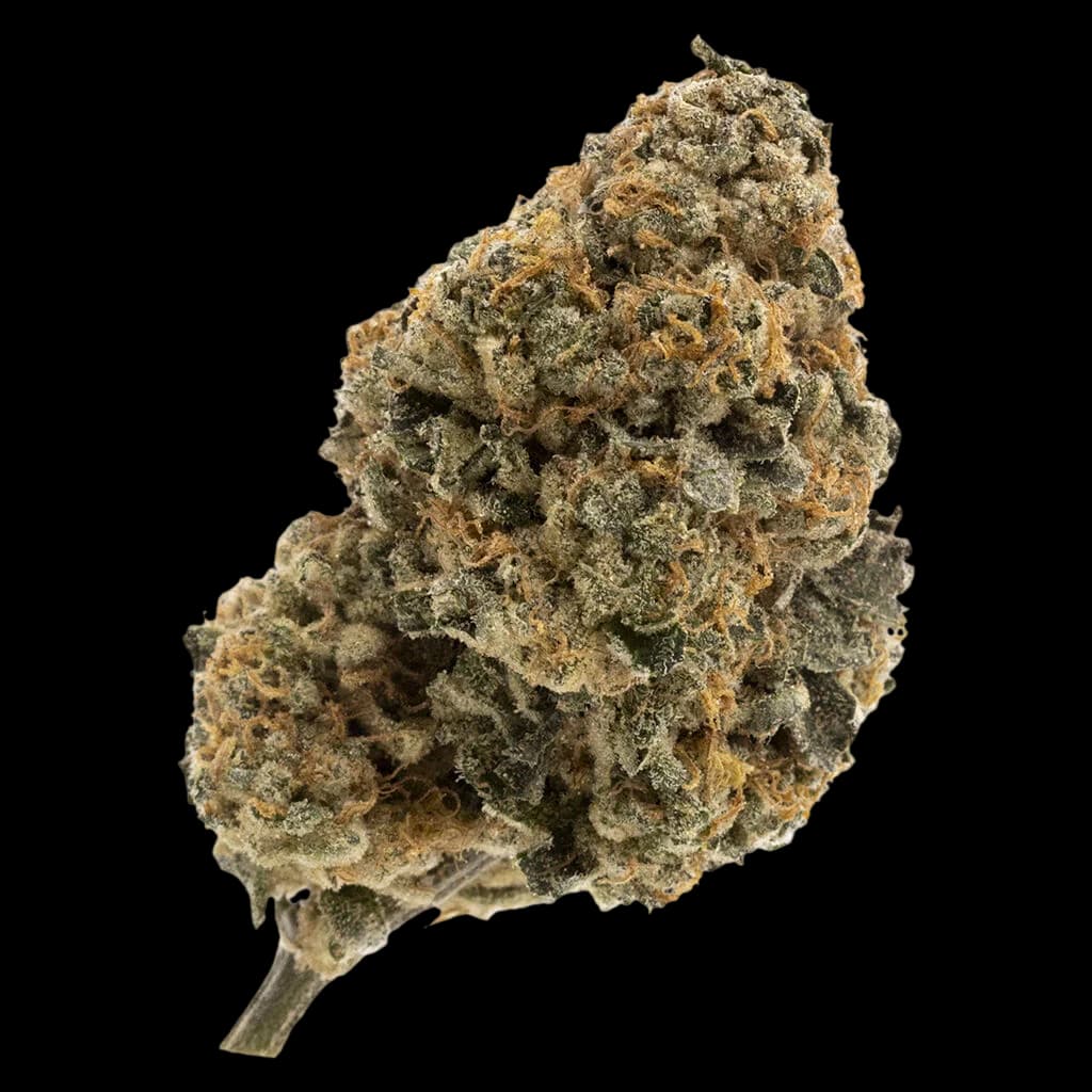 FIGR Kandy Cake whole flower cannabis dried bud with dense trichomes and tan-green coloring